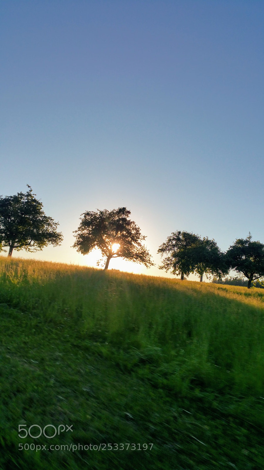 Samsung Galaxy Note4 sample photo. Untitled photography