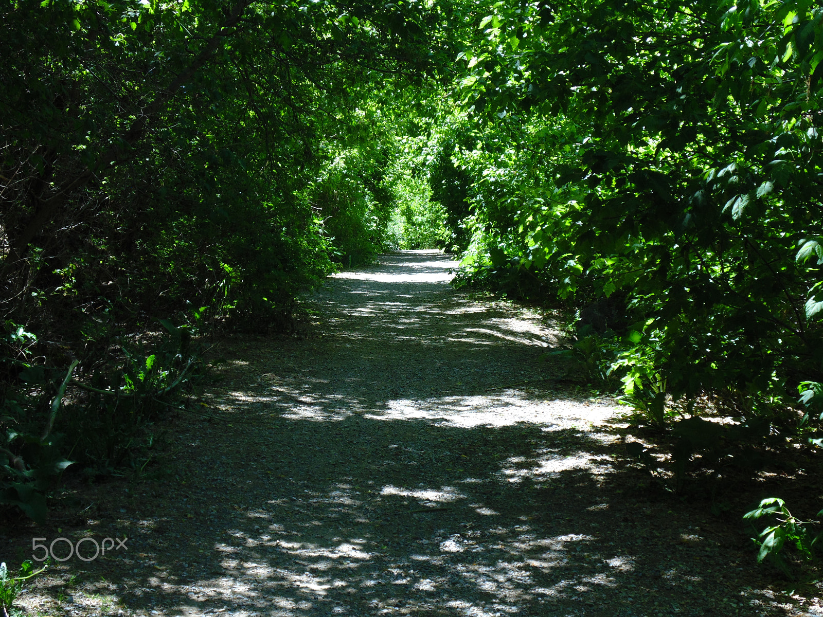 Sony Cyber-shot DSC-H200 sample photo. River walk photography