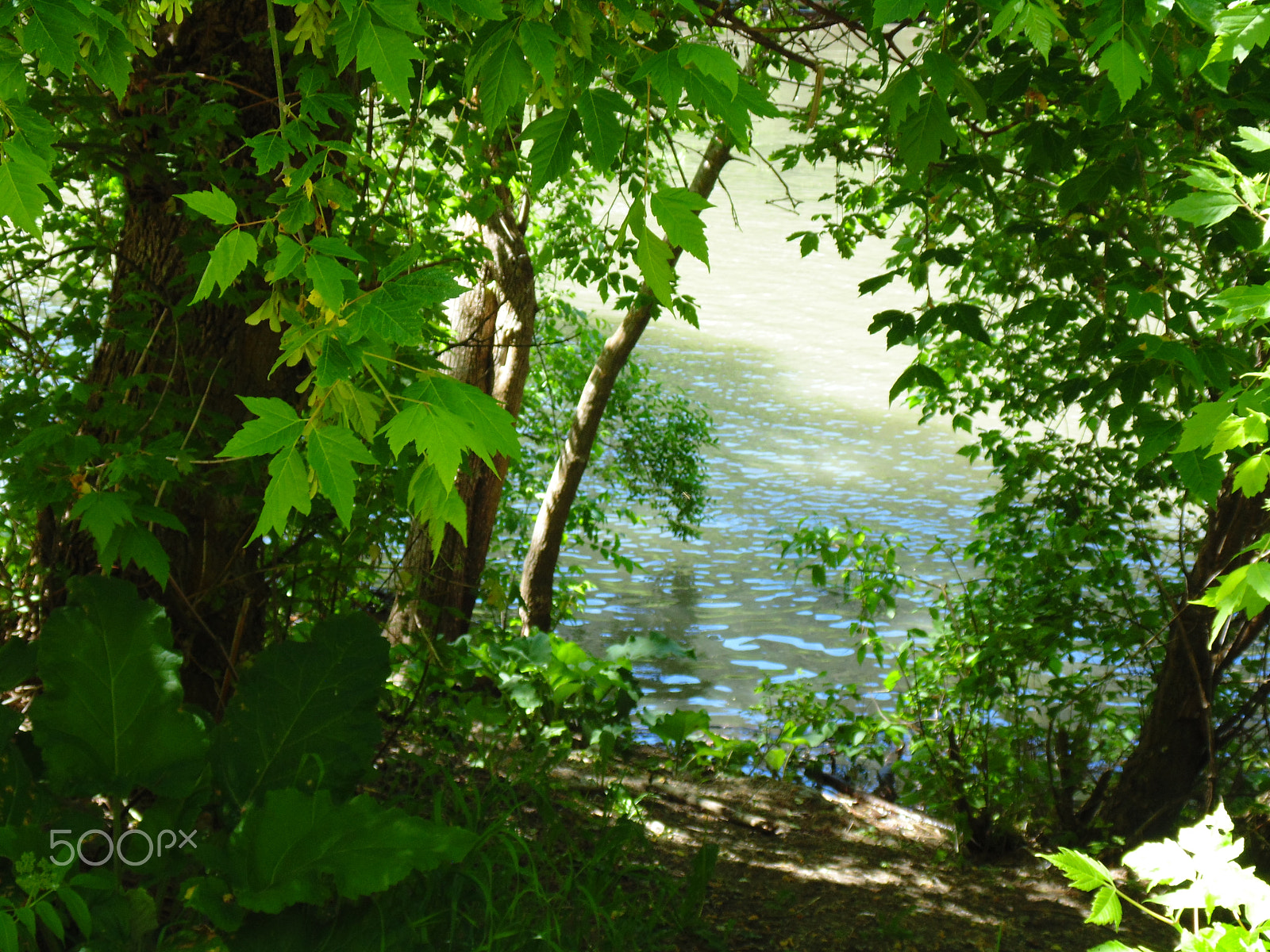 Sony Cyber-shot DSC-H200 sample photo. First dam photography