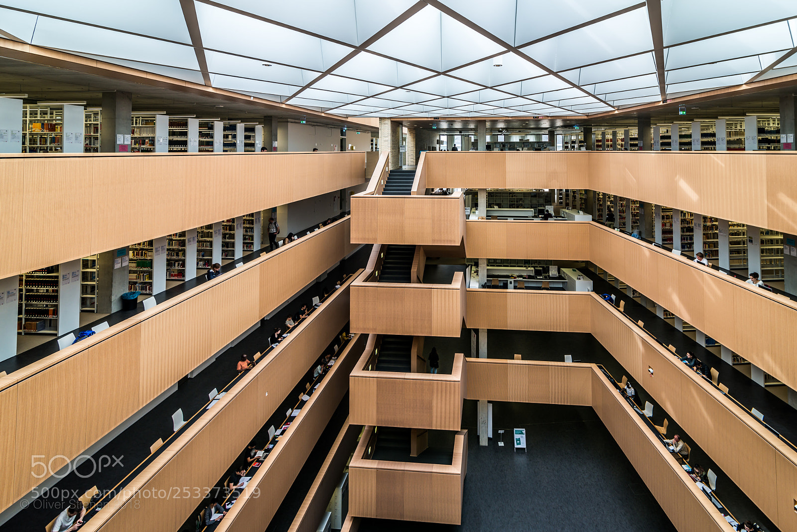 Nikon D800 sample photo. University library photography