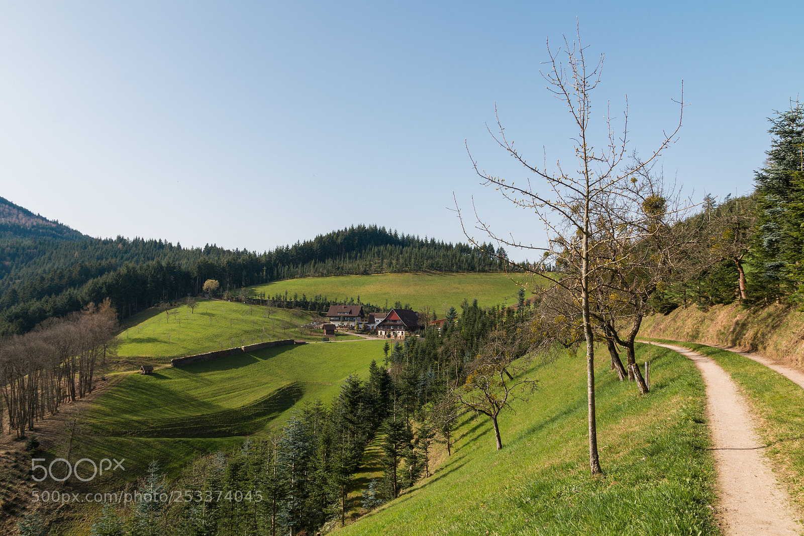 Canon EOS 70D sample photo. Schwarzwald-idyll photography