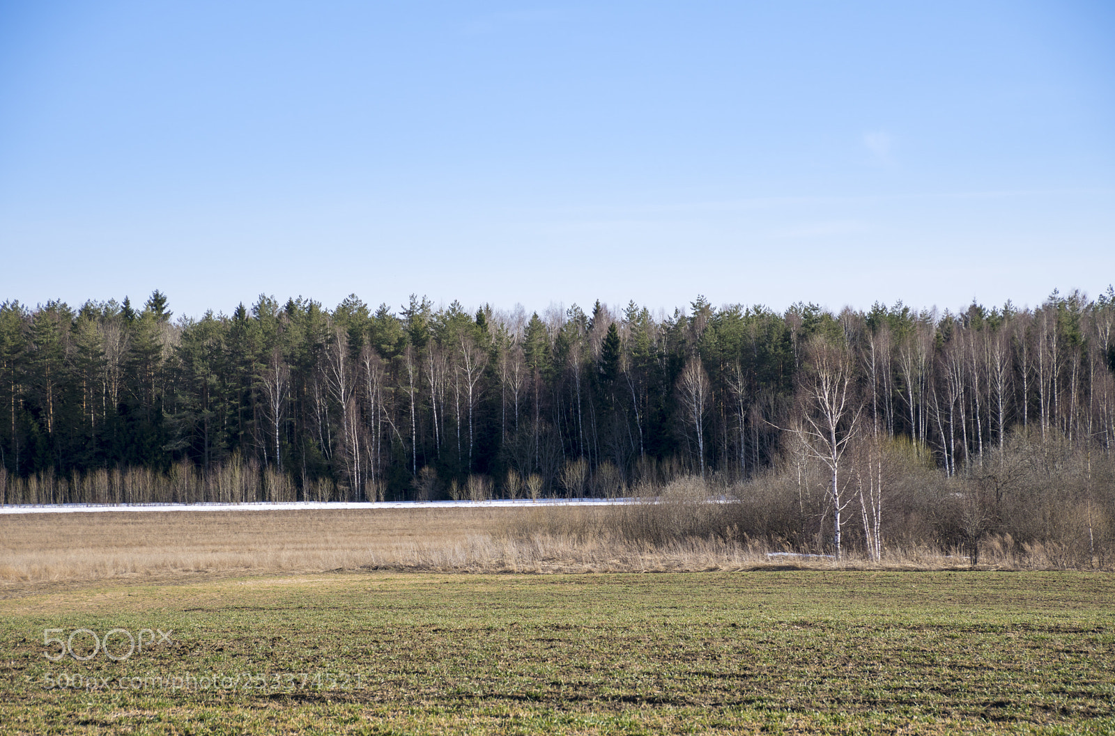 Sony ILCA-77M2 sample photo. April photography
