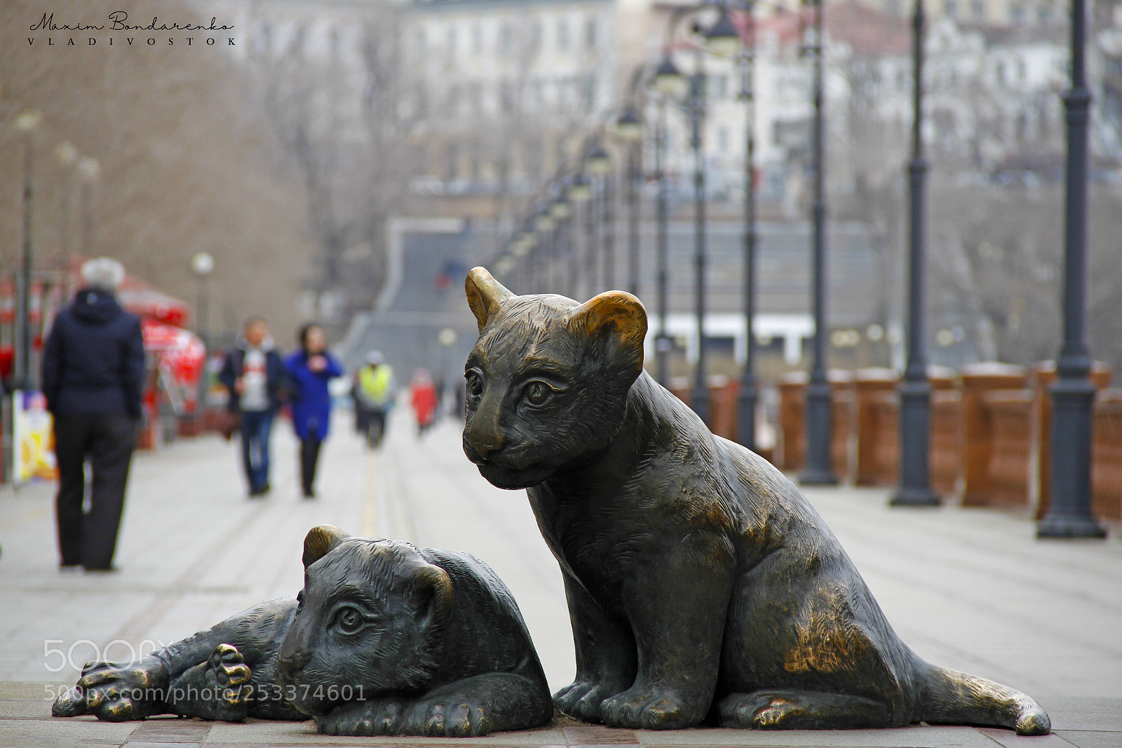 Canon EOS 7D sample photo. Cubs photography