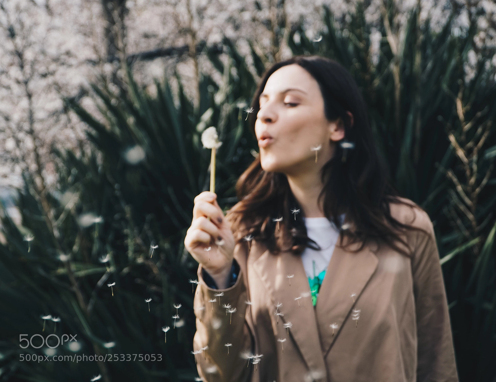 Sony a6500 sample photo. Untitled photography