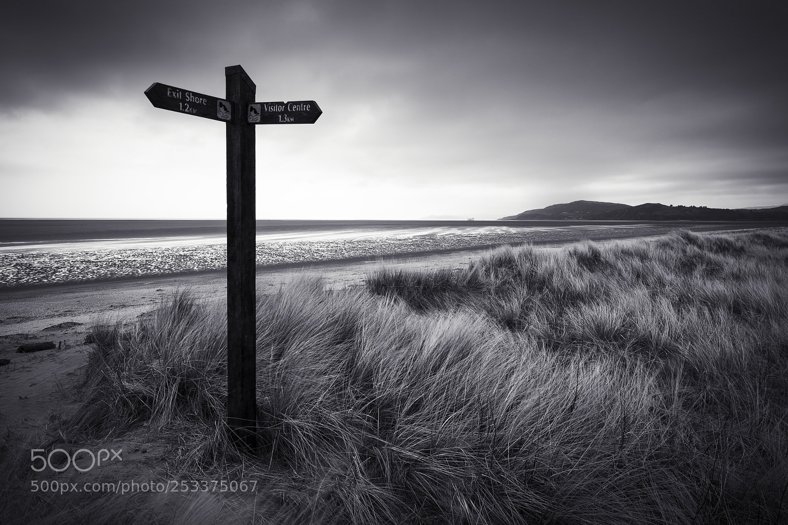 Nikon D810 sample photo. Rspb mersehead nature reserve photography