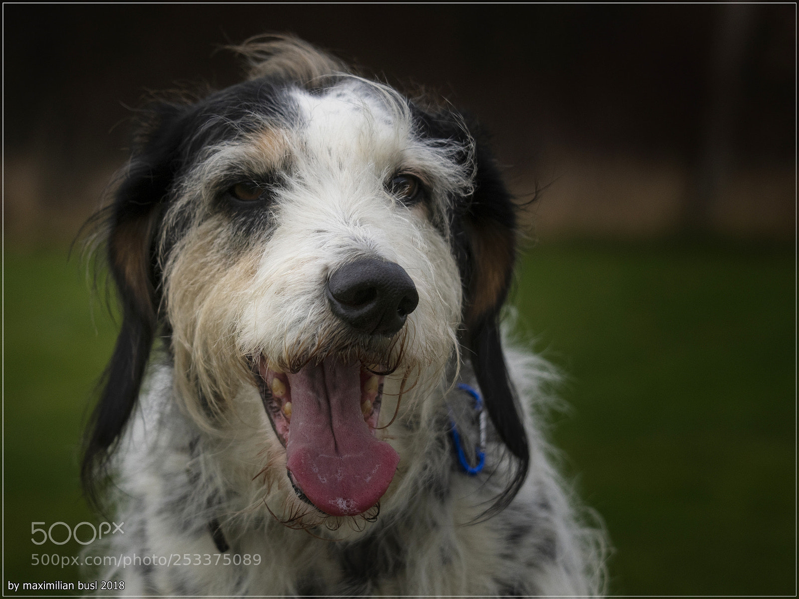 Nikon D850 sample photo. Zampa photography