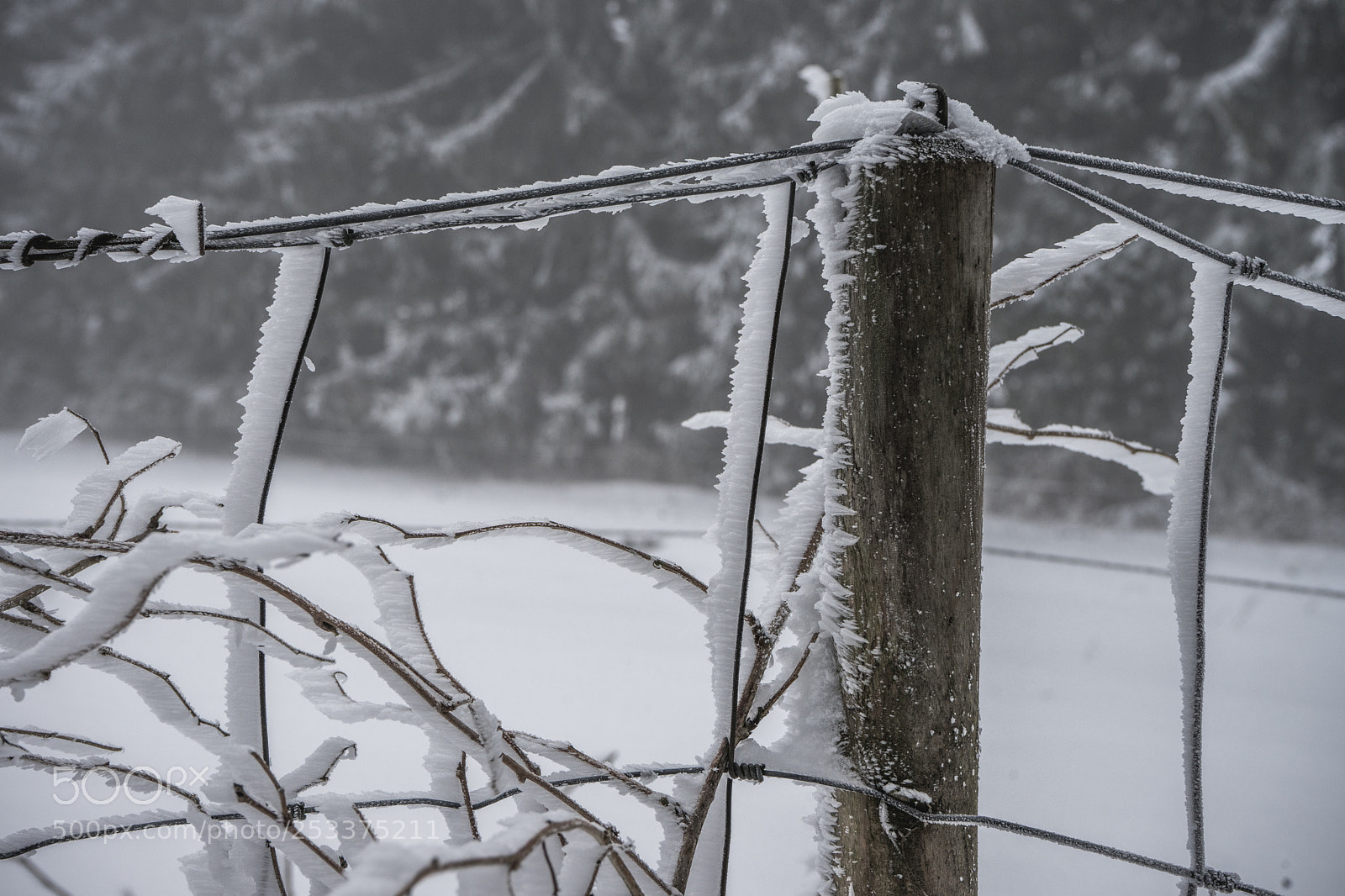 Sony a7 sample photo. First hike of the photography