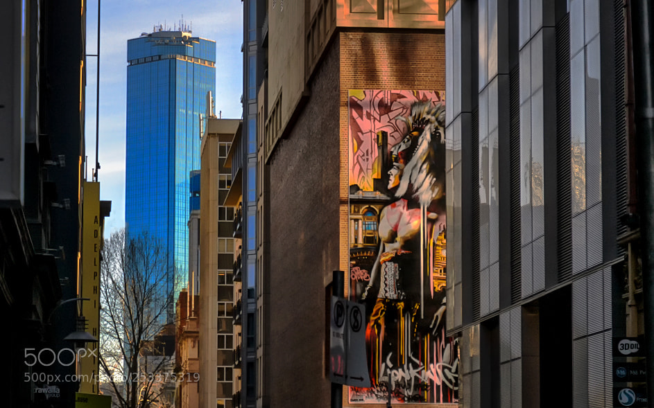 Nikon D7000 sample photo. 150731-003 rialto building melbourne photography