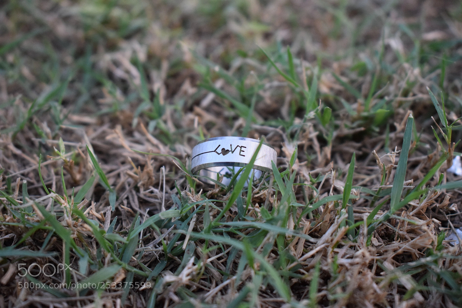 Nikon D3300 sample photo. Love photography