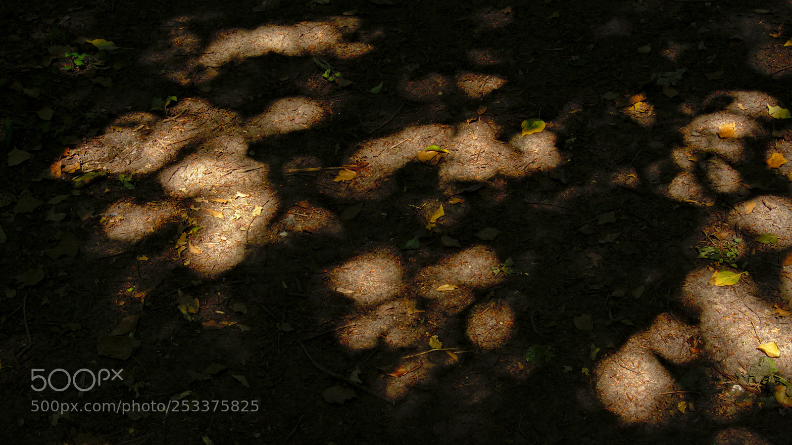 Nikon D5200 sample photo. Sun spots on the photography