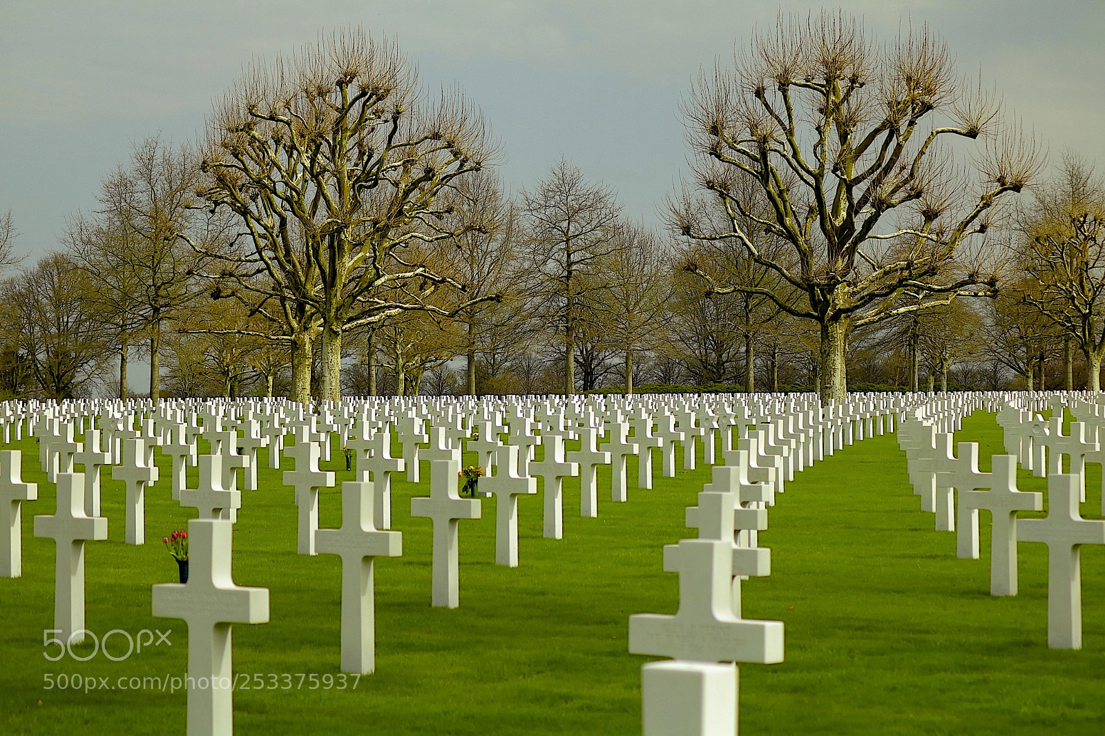 Canon EOS 750D (EOS Rebel T6i / EOS Kiss X8i) sample photo. Netherlands american cemetery photography