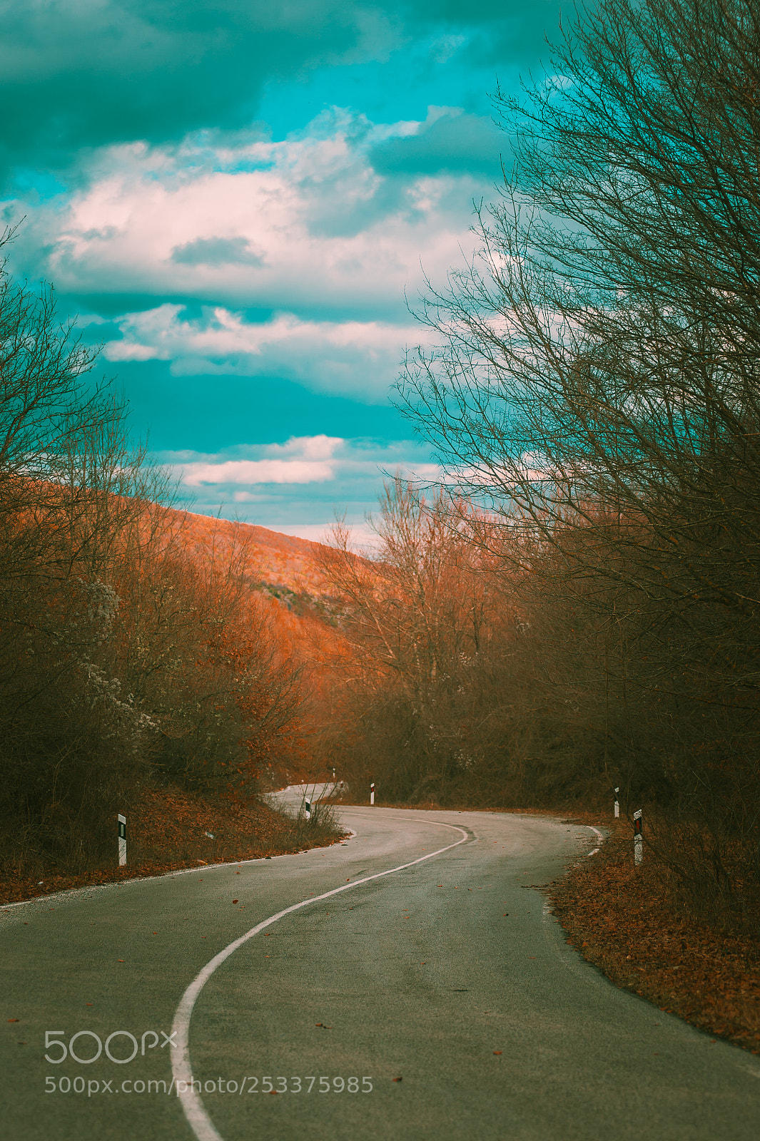Nikon D700 sample photo. Untitled photography