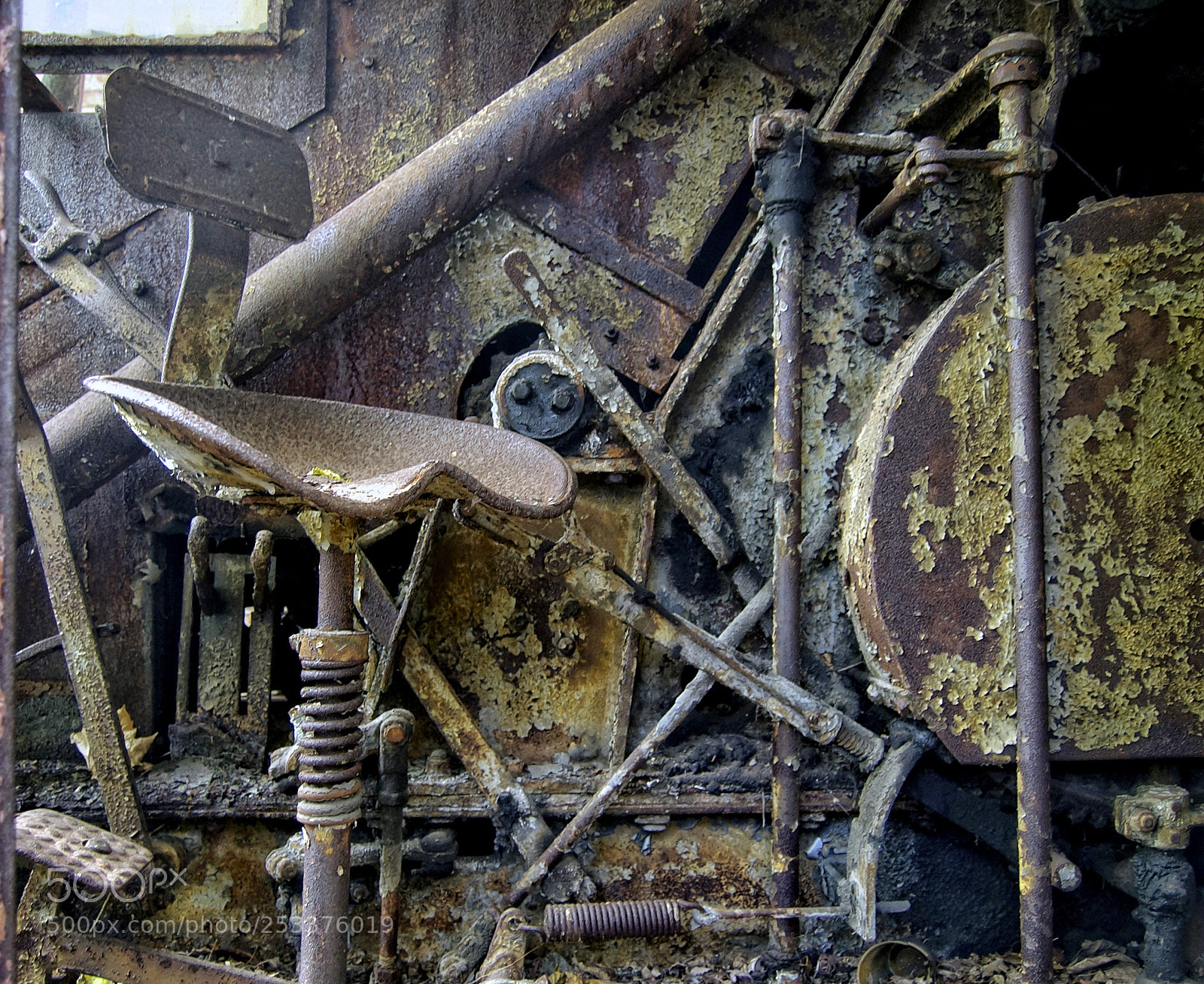 Nikon D50 sample photo. Bas-relief photography