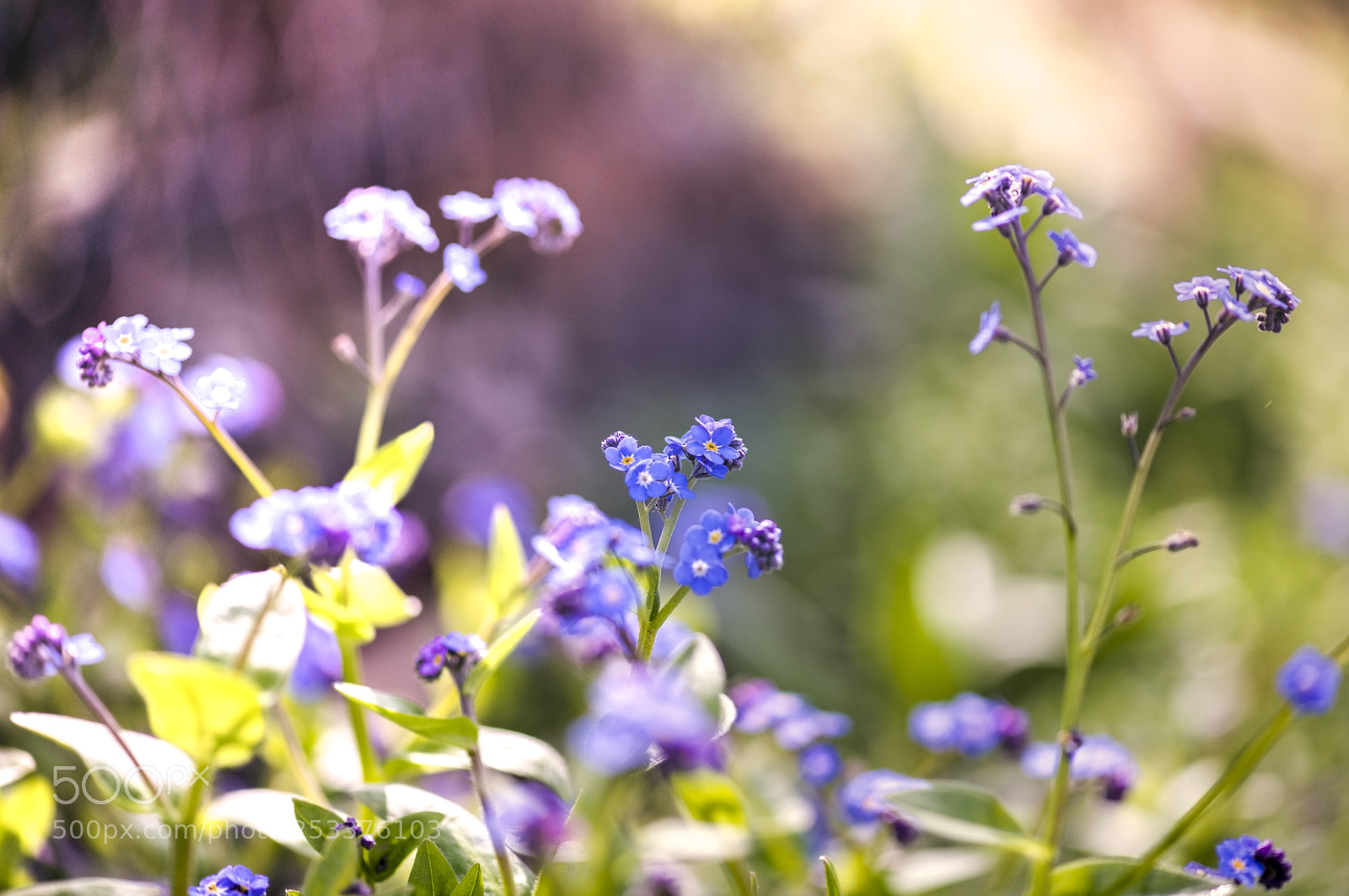 Nikon D850 sample photo. Beautiful sunny day photography