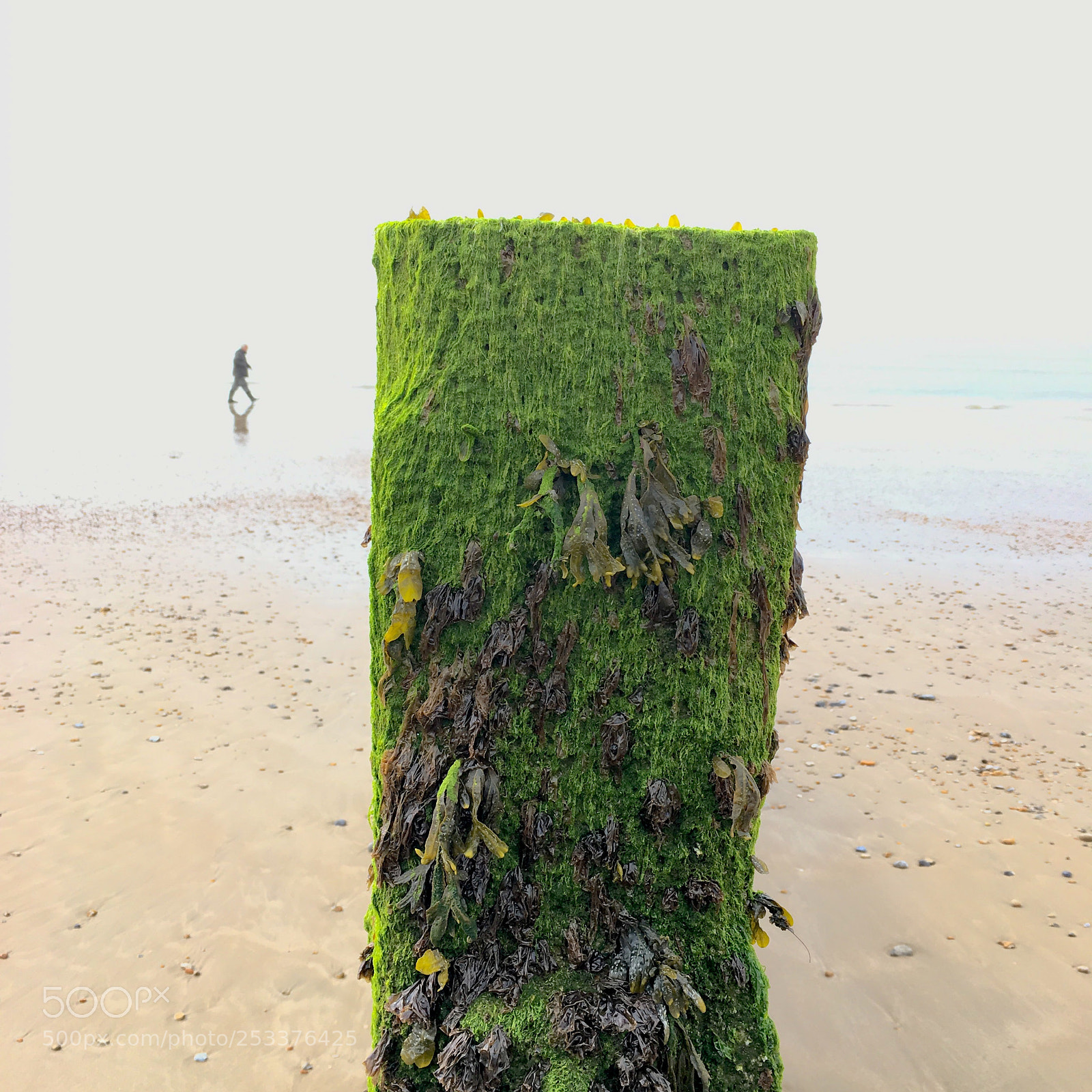 Apple iPhone 6s sample photo. Beach life photography