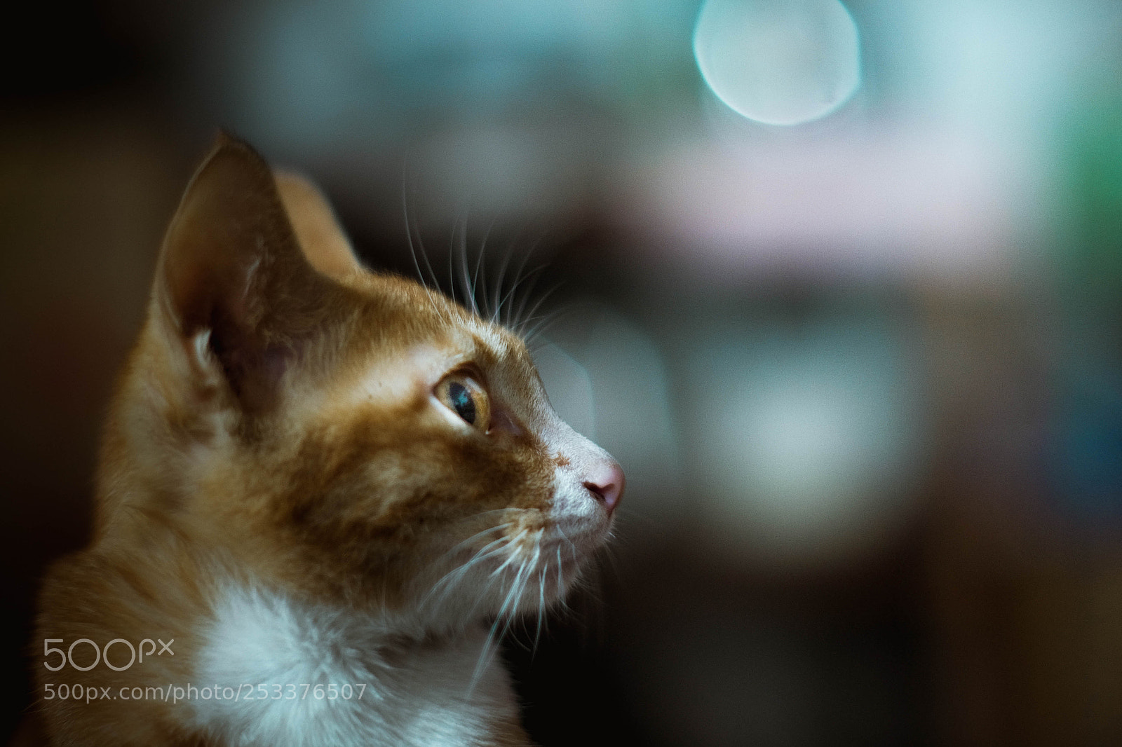 Fujifilm X-E2 sample photo. Night photography