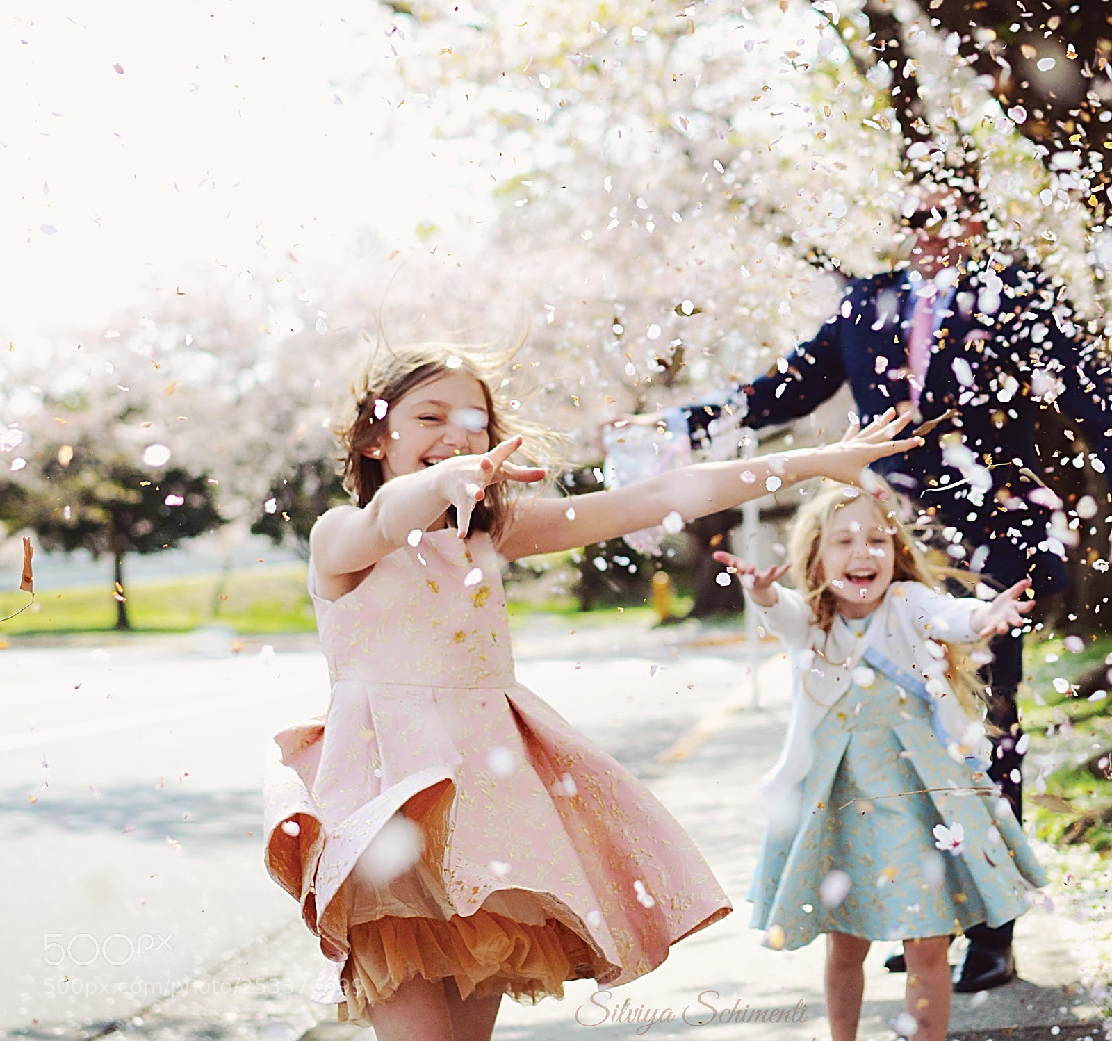 Nikon D7000 sample photo. Cherry blossoms @japan photography