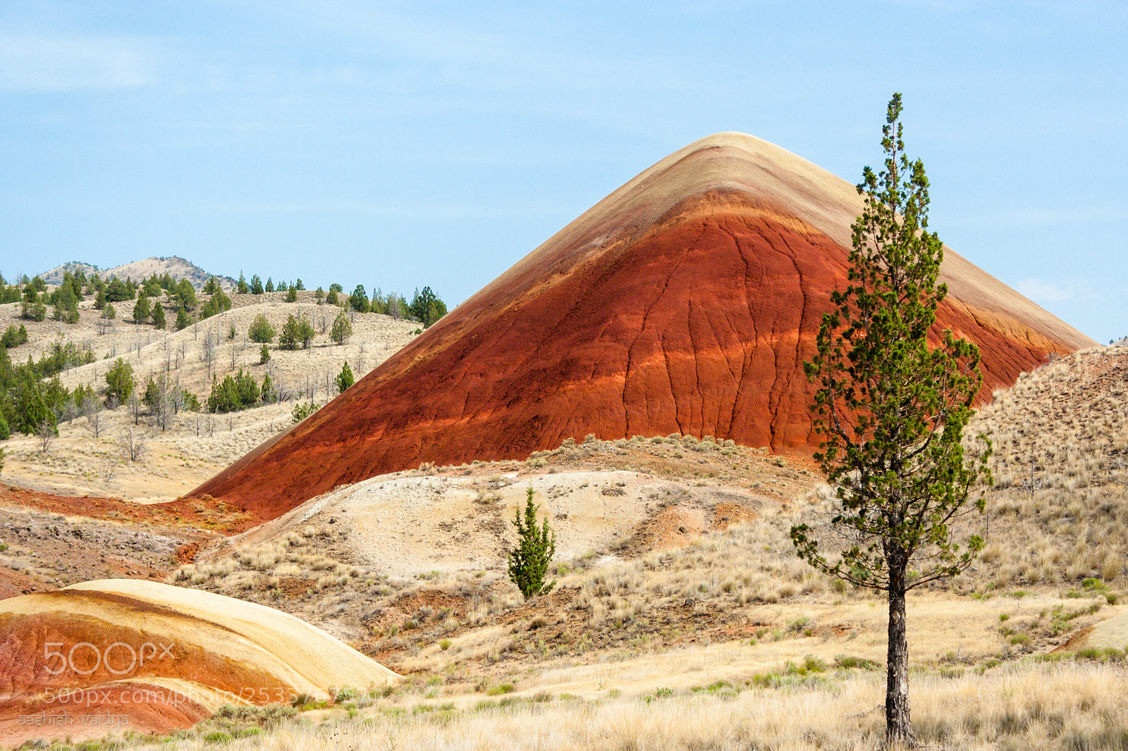 Canon EOS 350D (EOS Digital Rebel XT / EOS Kiss Digital N) sample photo. Small hill, painted hills photography