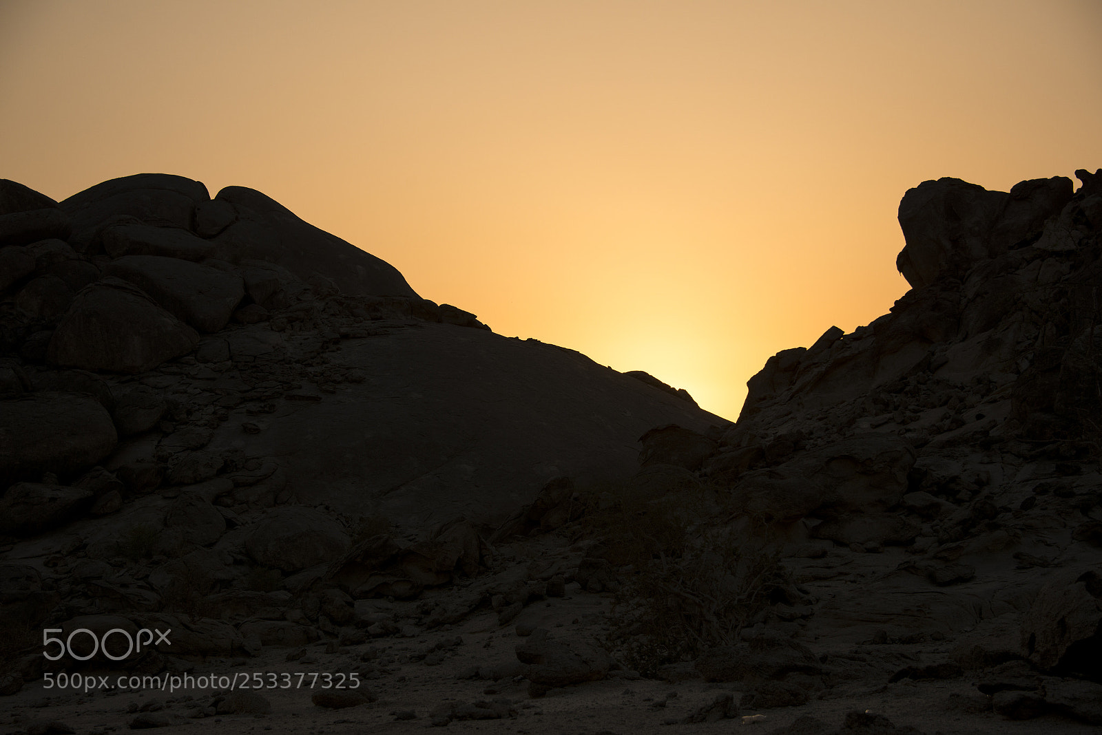 Nikon D800E sample photo. Sunset in desert of photography