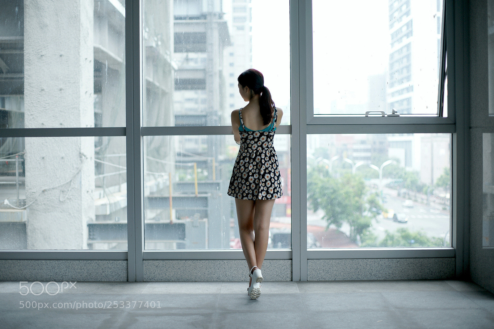 Sony Alpha DSLR-A850 sample photo. Chen photography