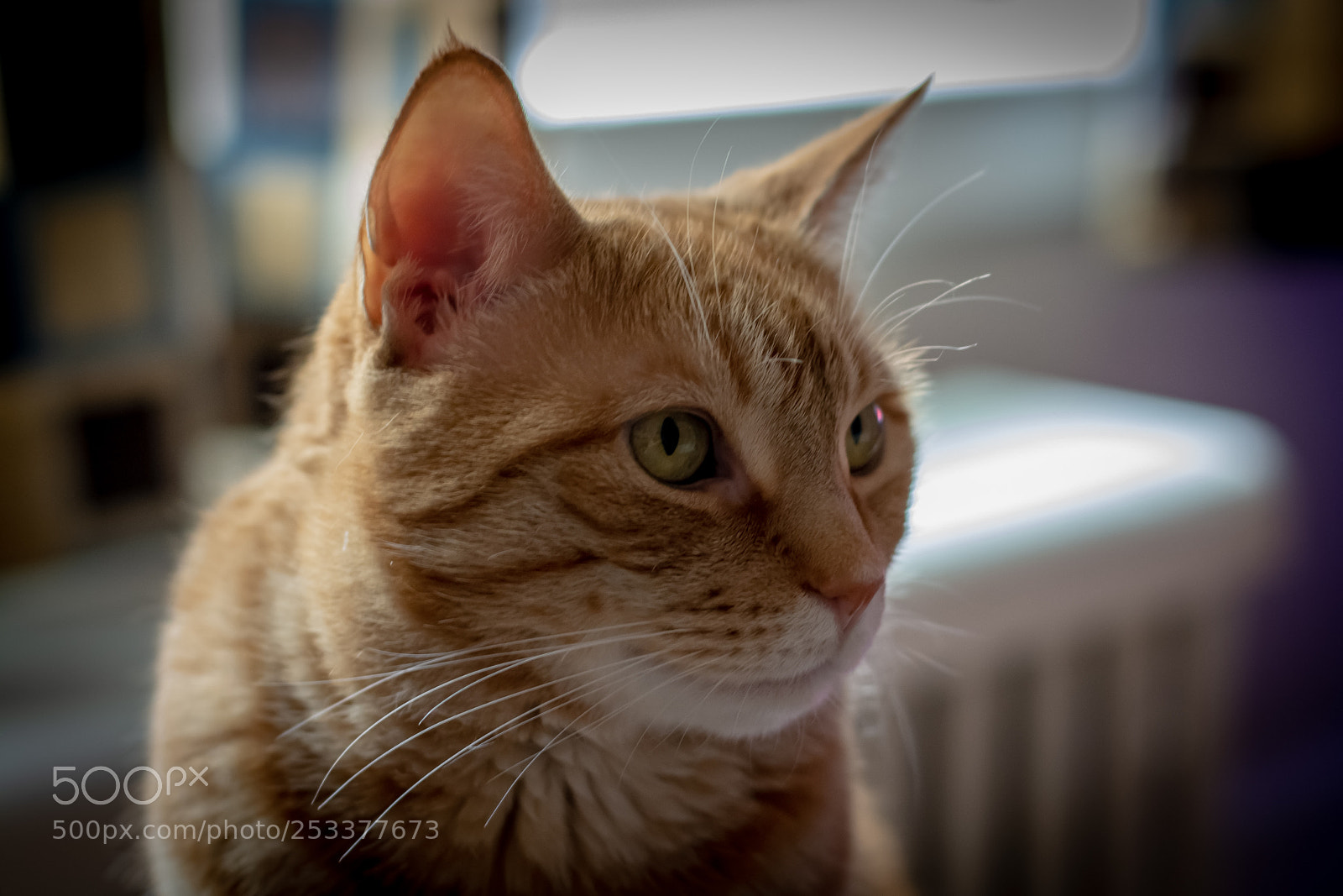 Nikon D7100 sample photo. Into the distance photography