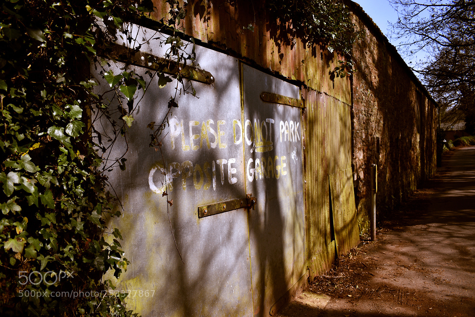 Nikon D5600 sample photo. No parking photography