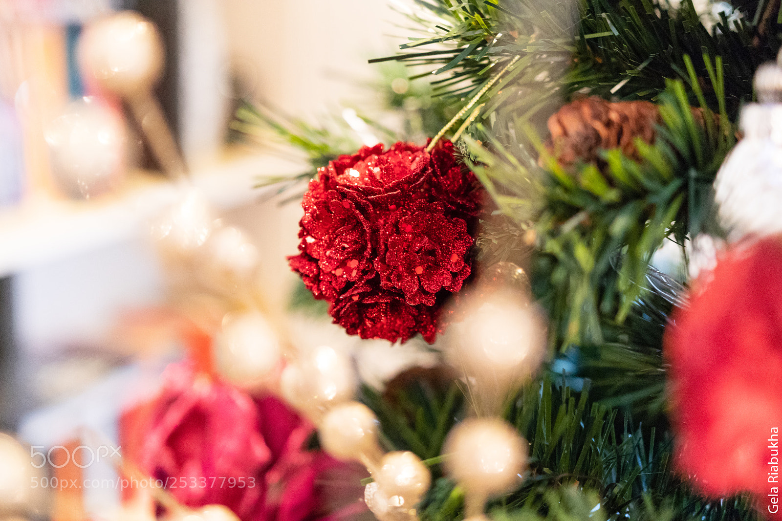 Canon EOS 80D sample photo. Christmas decoration photography