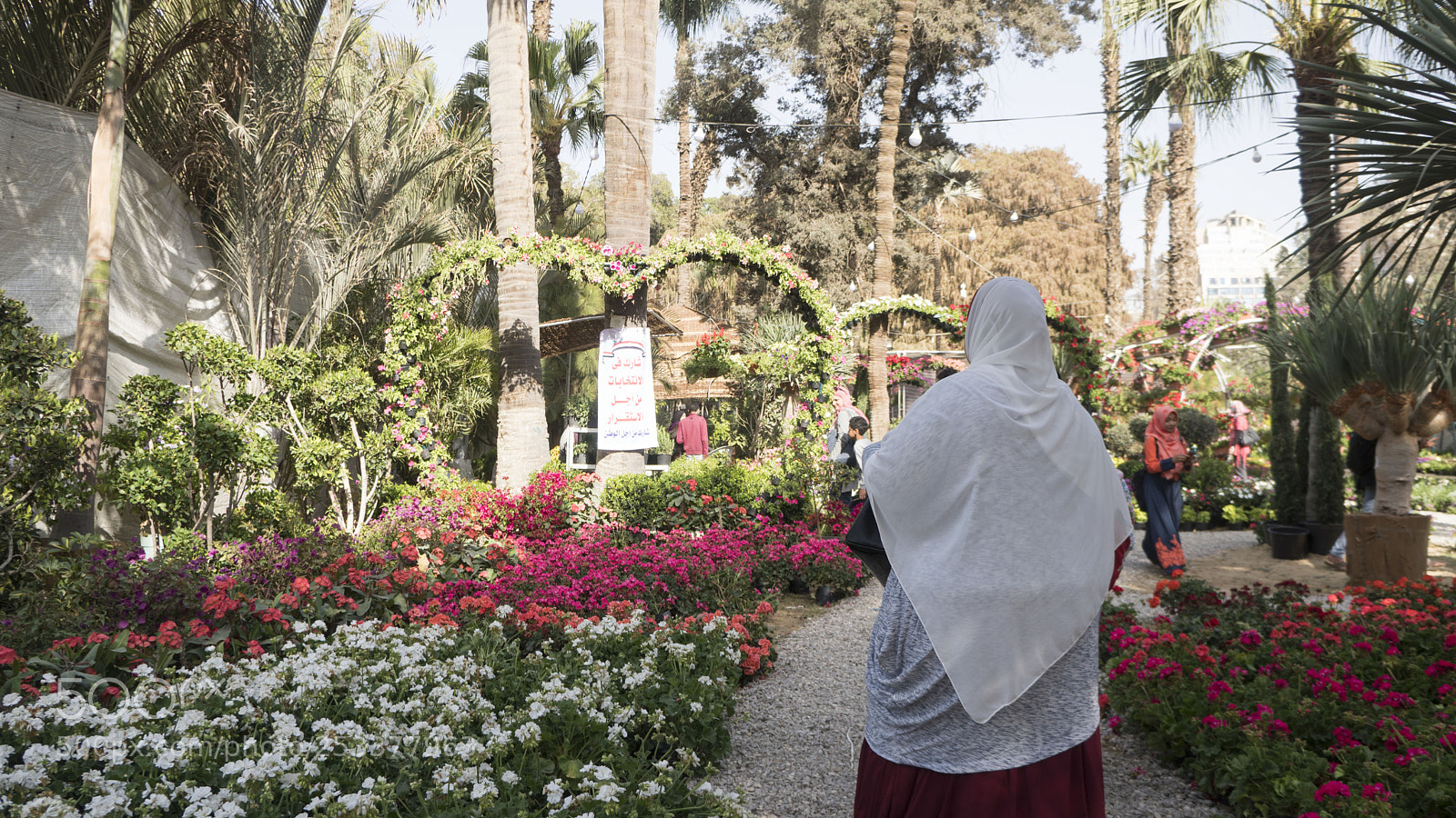 Sony a6500 sample photo. Elections campaigning and flowery photography