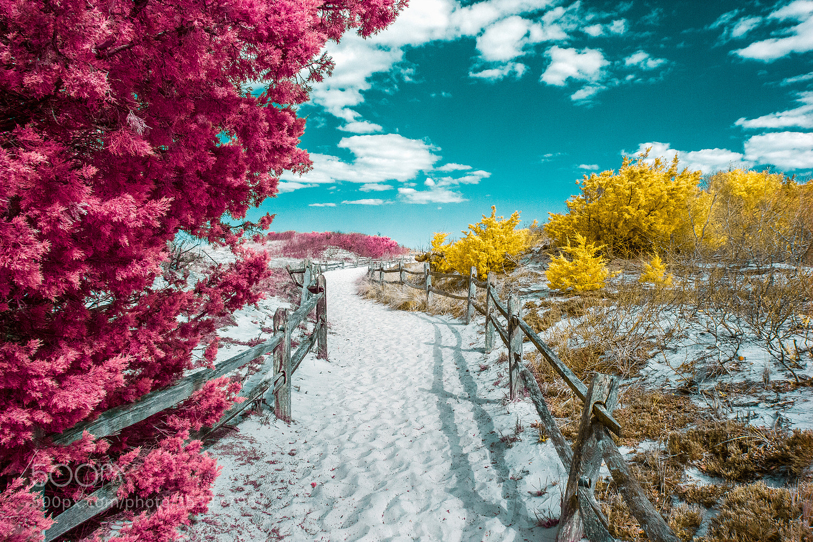 Canon EOS 550D (EOS Rebel T2i / EOS Kiss X4) sample photo. Island beach infrared photography