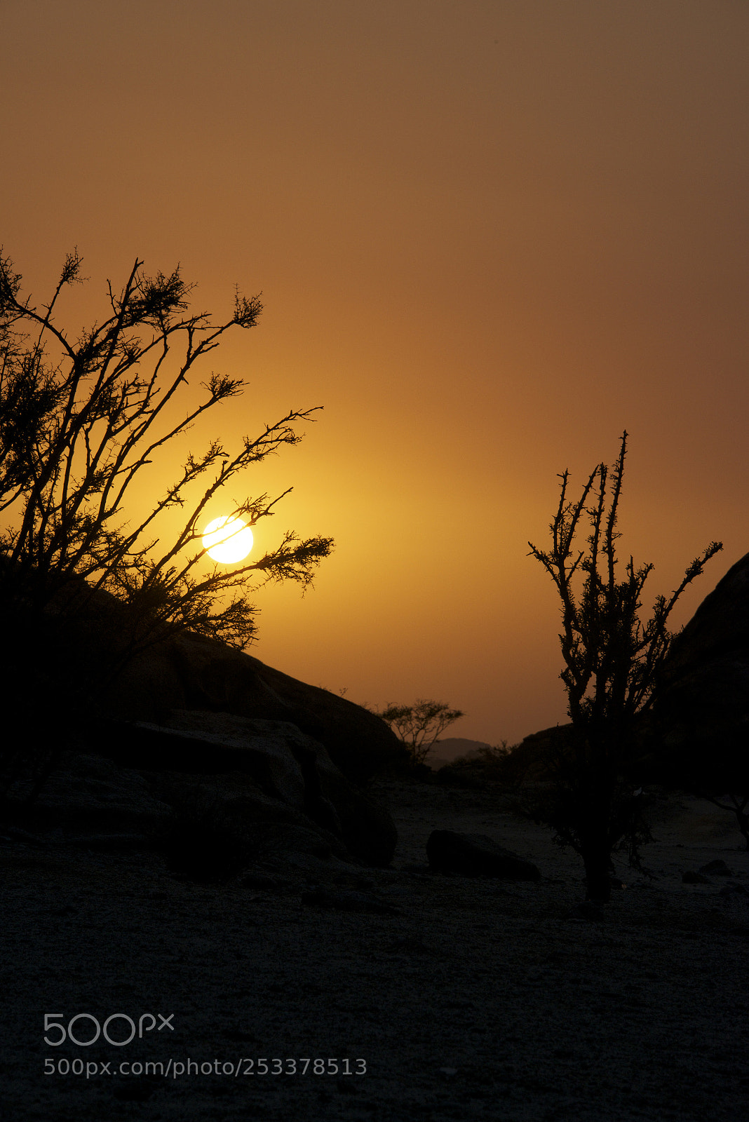 Nikon D800E sample photo. Saudi desert sunset photography