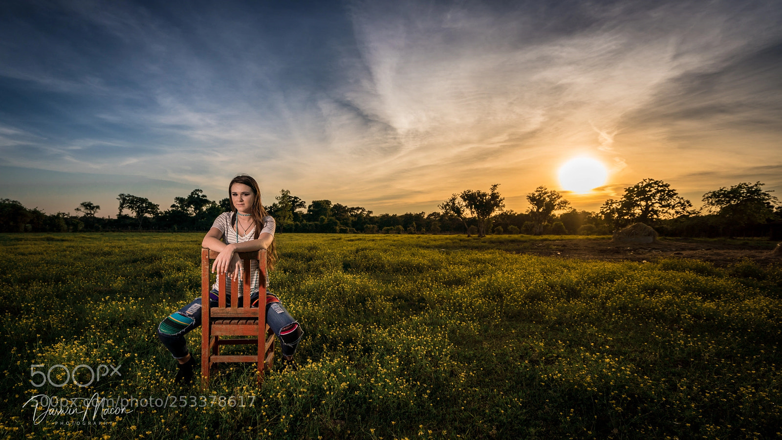 Sony a7R III sample photo. Wildflower sunset photography