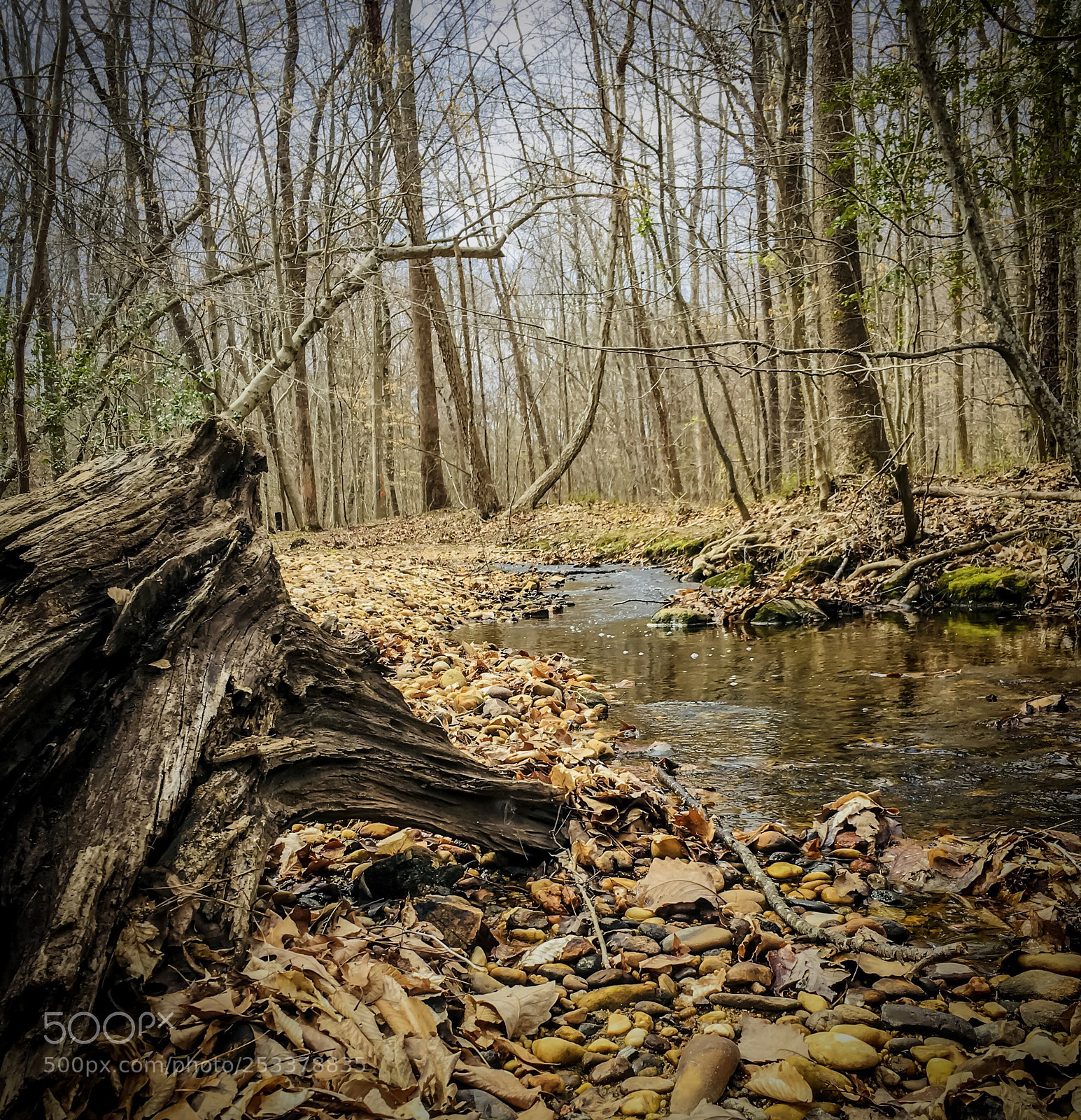 Apple iPhone SE sample photo. Creek photography
