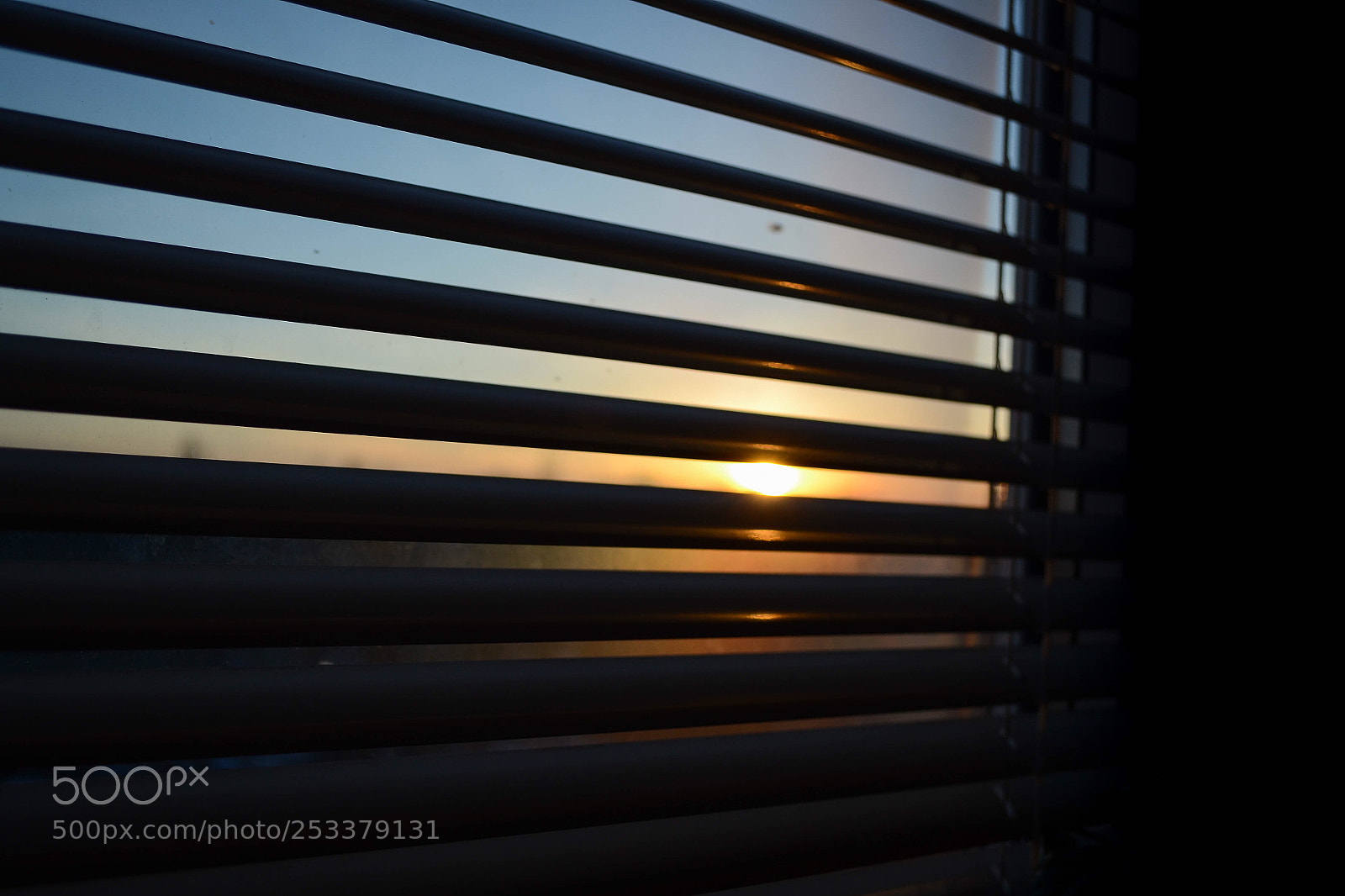 Nikon D3100 sample photo. Not the end. photography