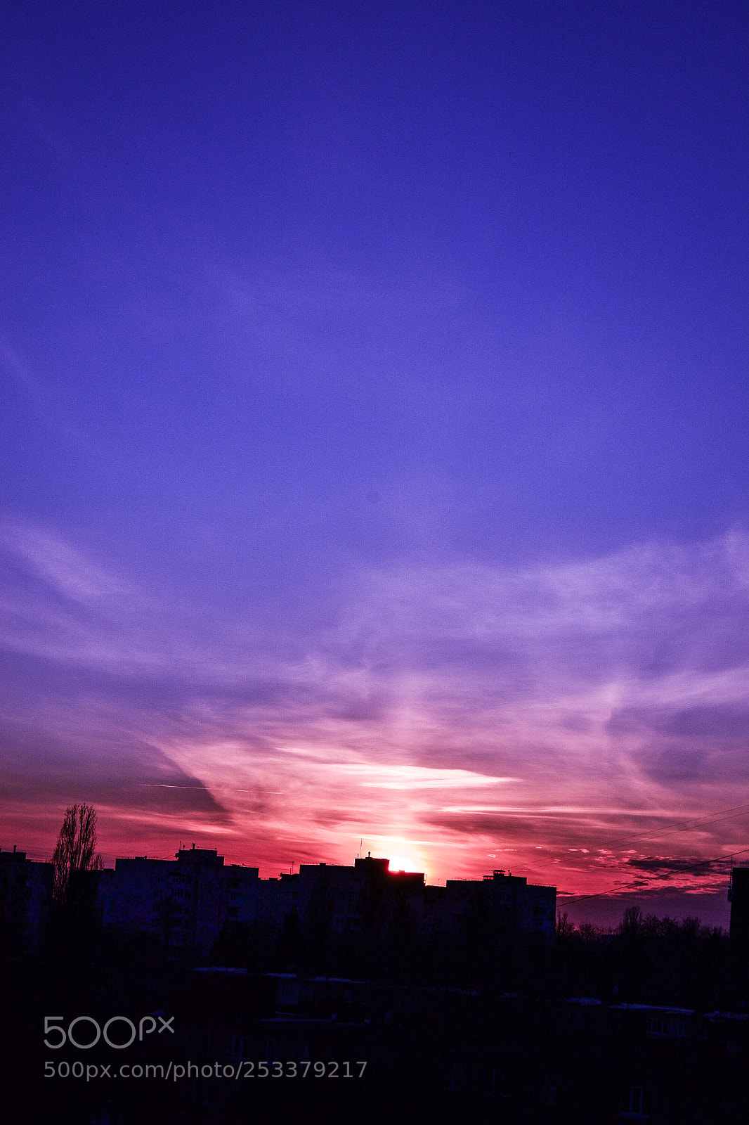 Nikon D3100 sample photo. Purple sunset. photography