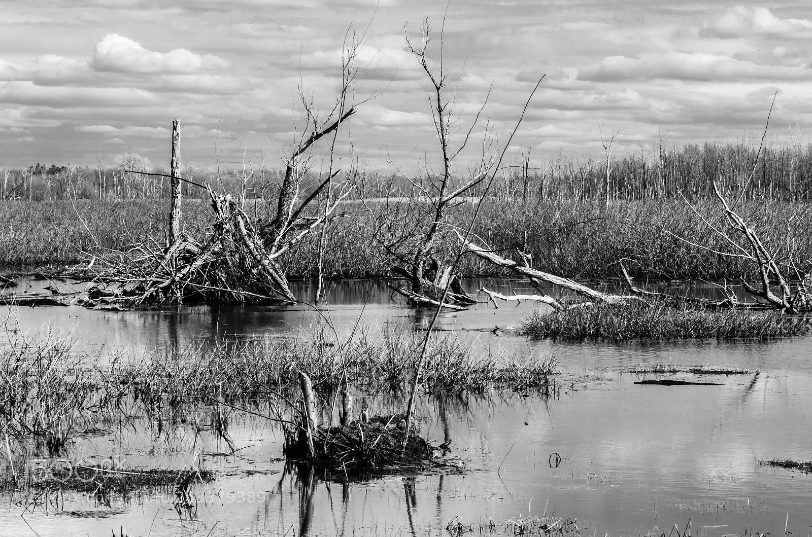 Nikon D7000 sample photo. Stillness photography