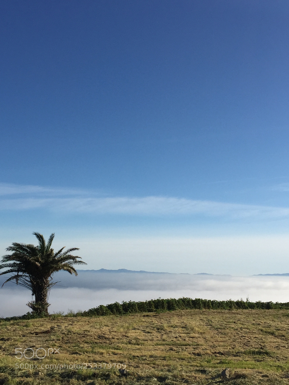 Apple iPhone 6 sample photo. A world above! photography