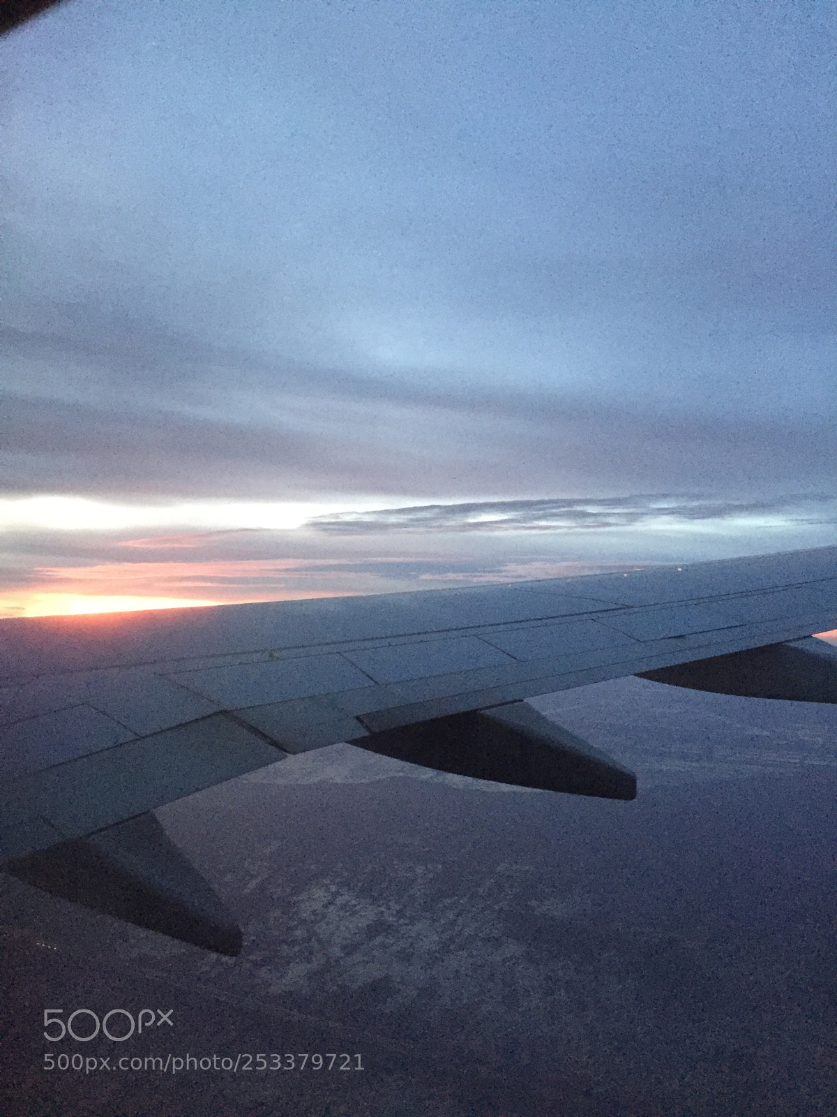 Apple iPhone 6 sample photo. Soaring! photography