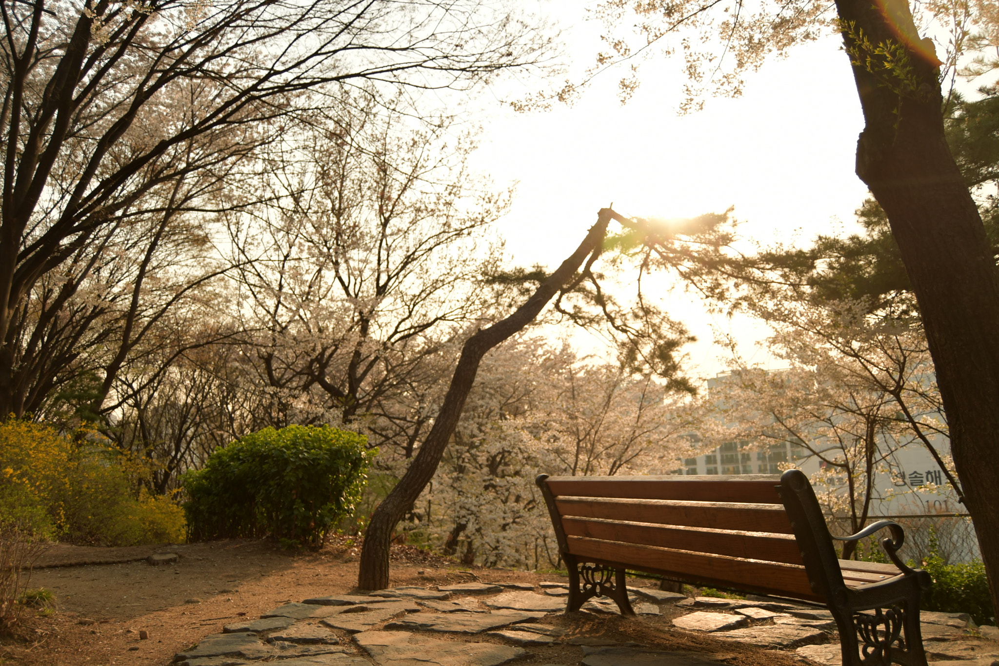 Nikon D7500 sample photo