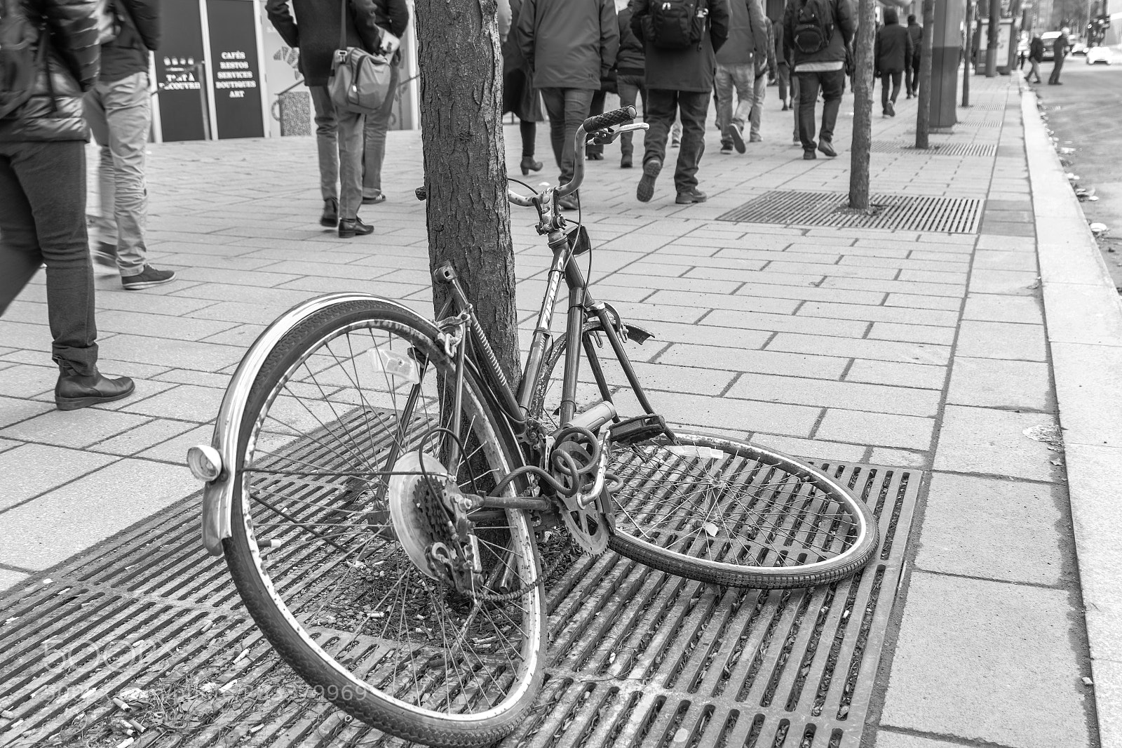 Nikon D500 sample photo. Abandoned photography