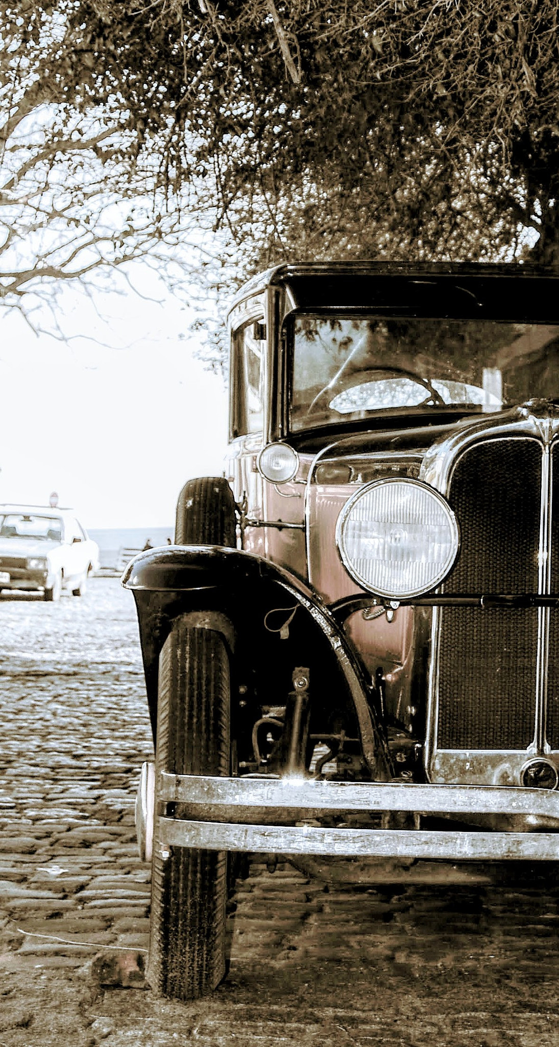 Nikon D40 sample photo. Classic photography