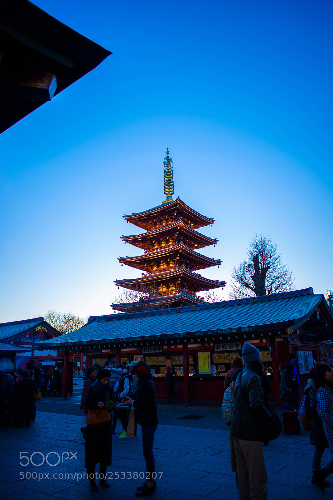 Nikon D800 sample photo. Untitled photography