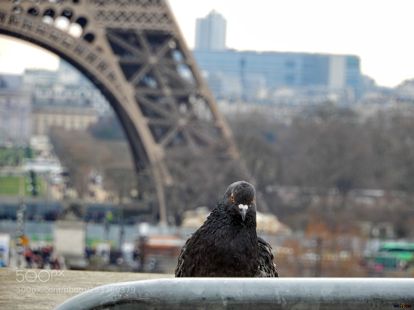 Nikon Coolpix A900 sample photo. Paris photography