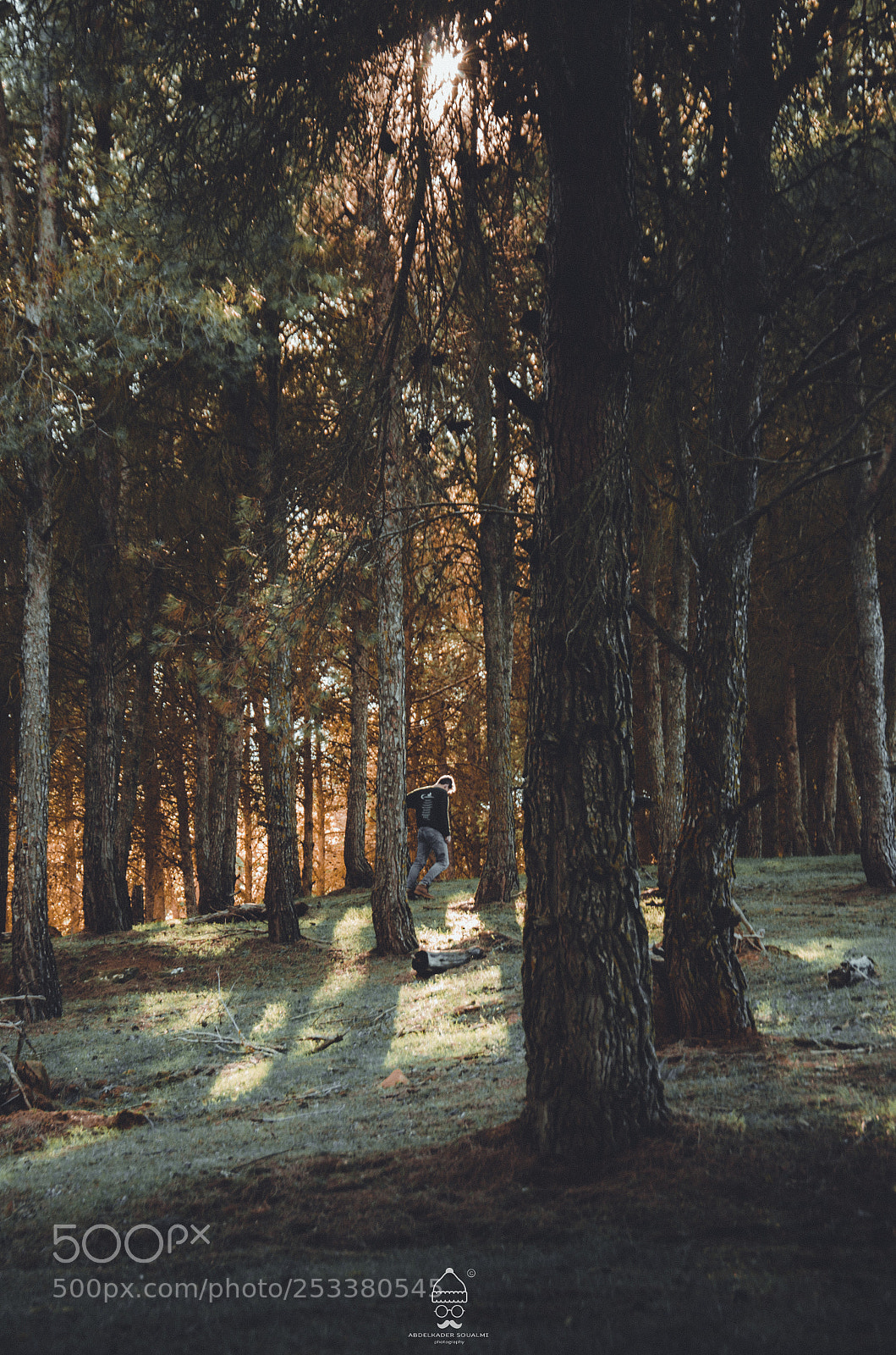Nikon D5100 sample photo. Alone in forrest photography
