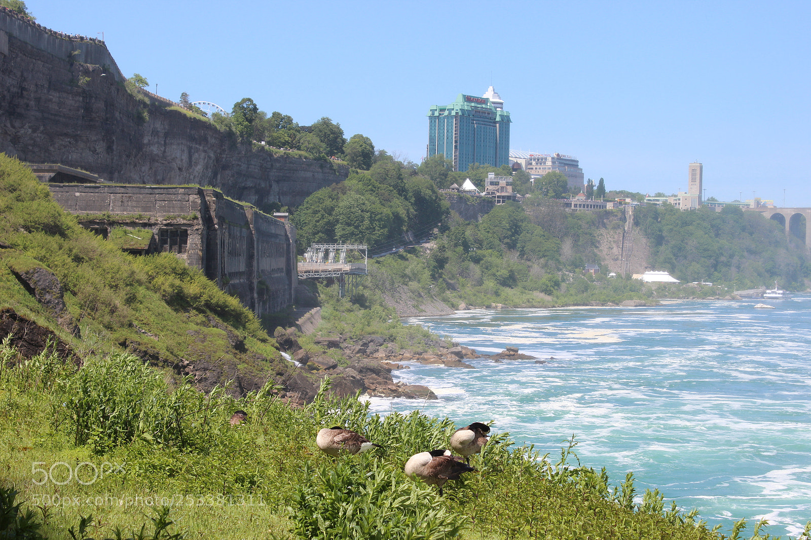 Canon EOS 600D (Rebel EOS T3i / EOS Kiss X5) sample photo. Canadian postcard photography
