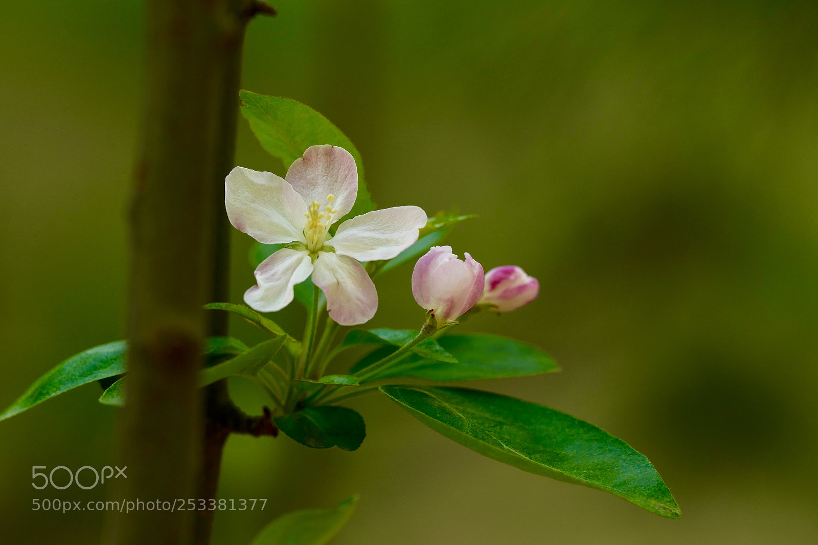 Leica SL (Typ 601) sample photo. Untitled photography