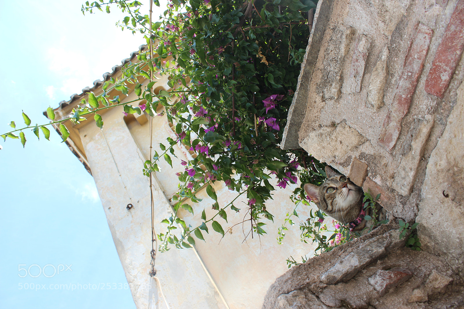 Canon EOS 600D (Rebel EOS T3i / EOS Kiss X5) sample photo. Pretending i don't see photography