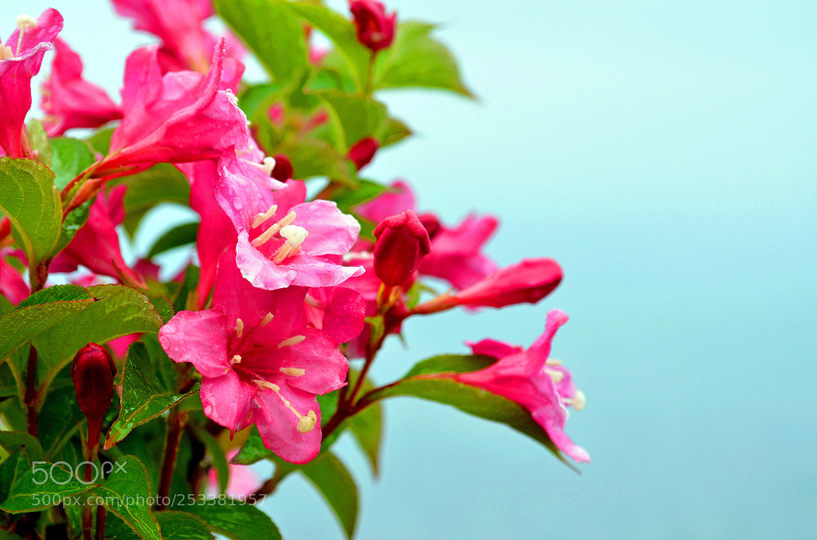 Nikon D5100 sample photo. Spacious photography