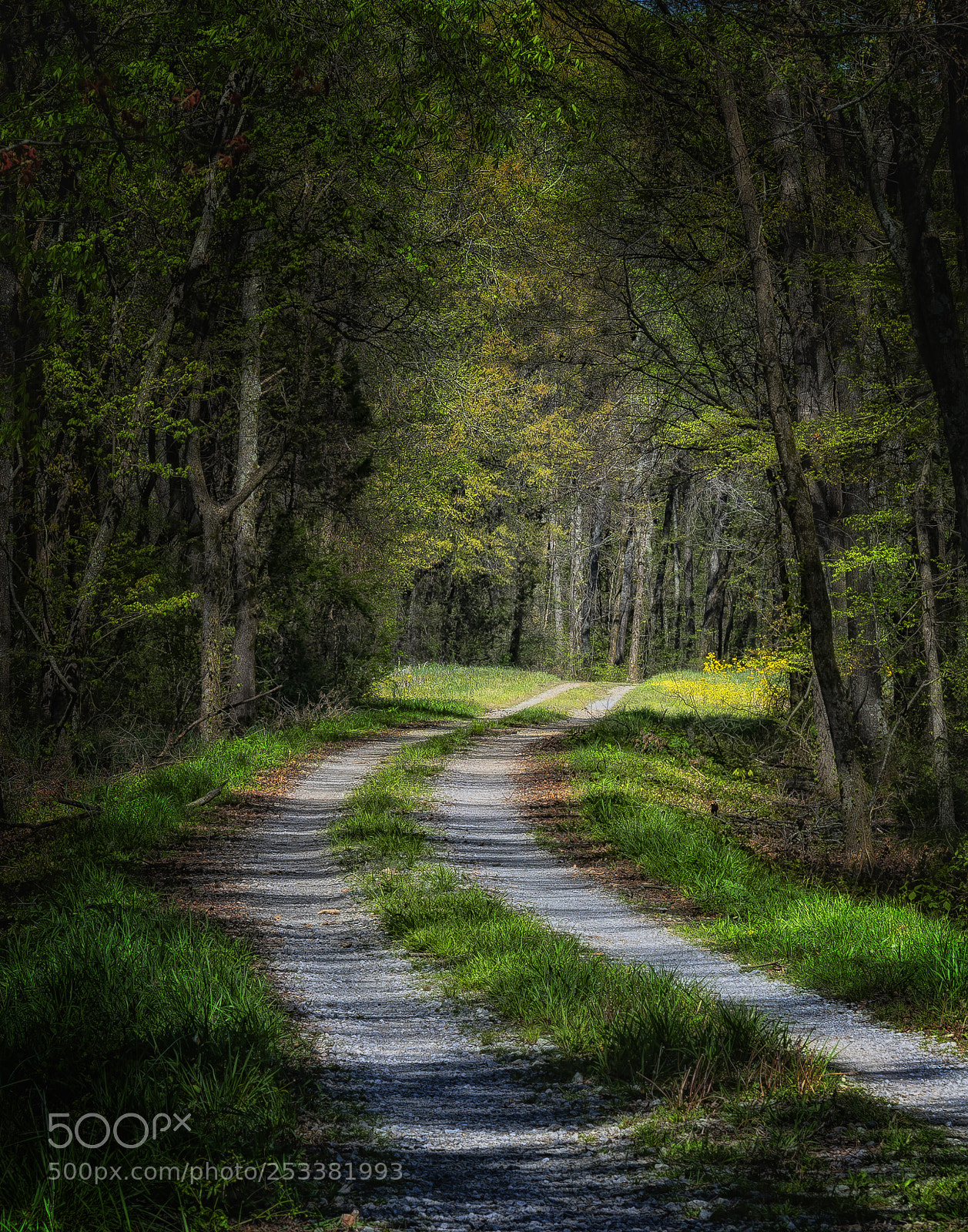 Nikon D500 sample photo. Spring on a farme photography