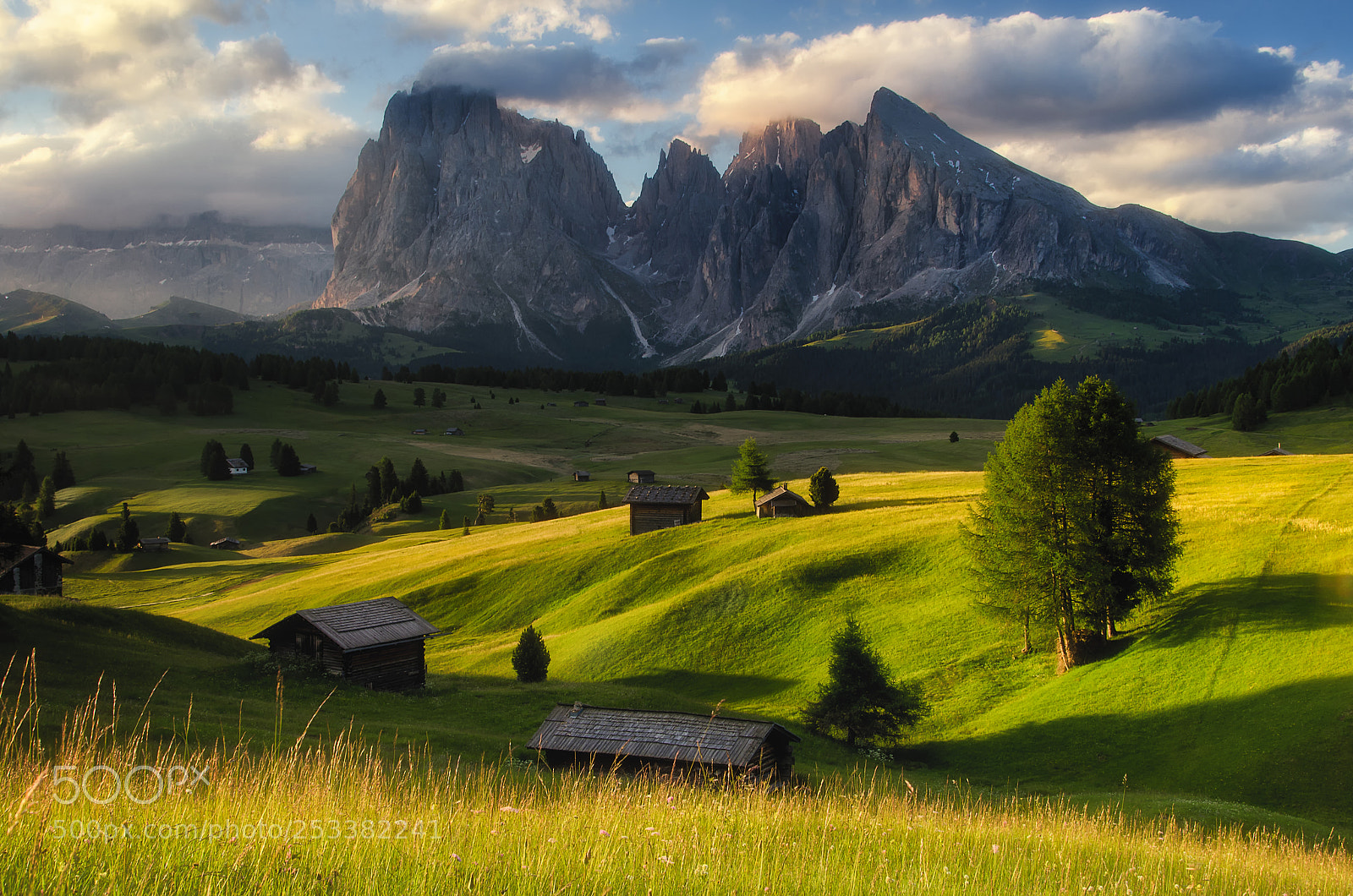 Nikon D7000 sample photo. Sunrise in alpe di photography