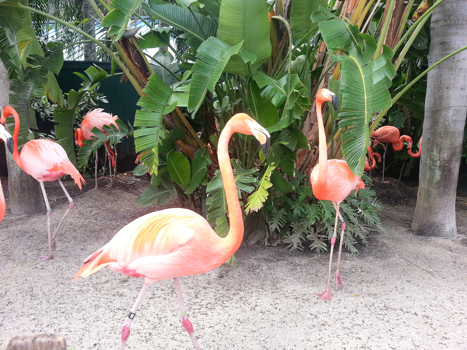 Samsung Galaxy S3 sample photo. Untitled photography